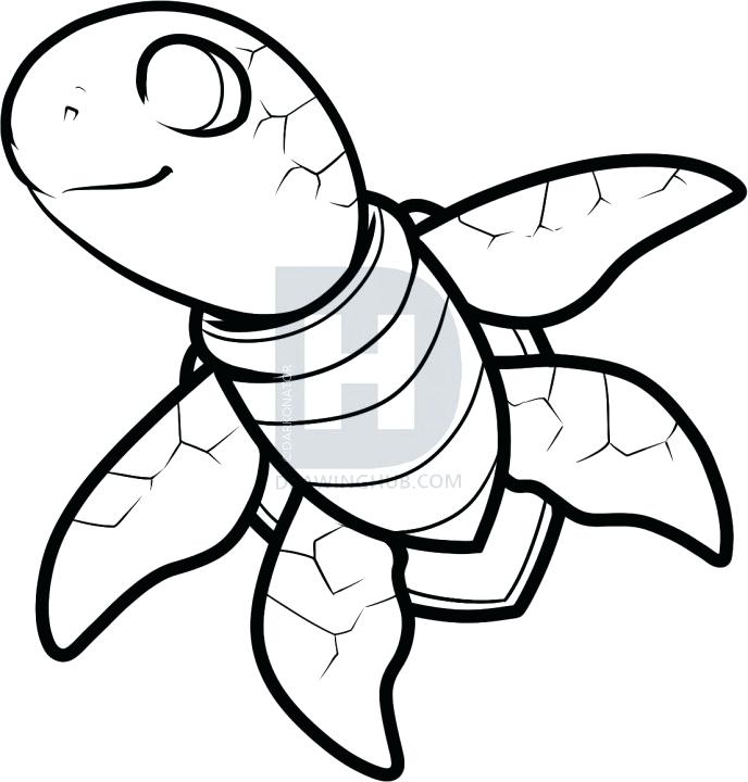 688x720 How To Draw Cartoon Turtles How To Draw Cartoon Turtle Regarding