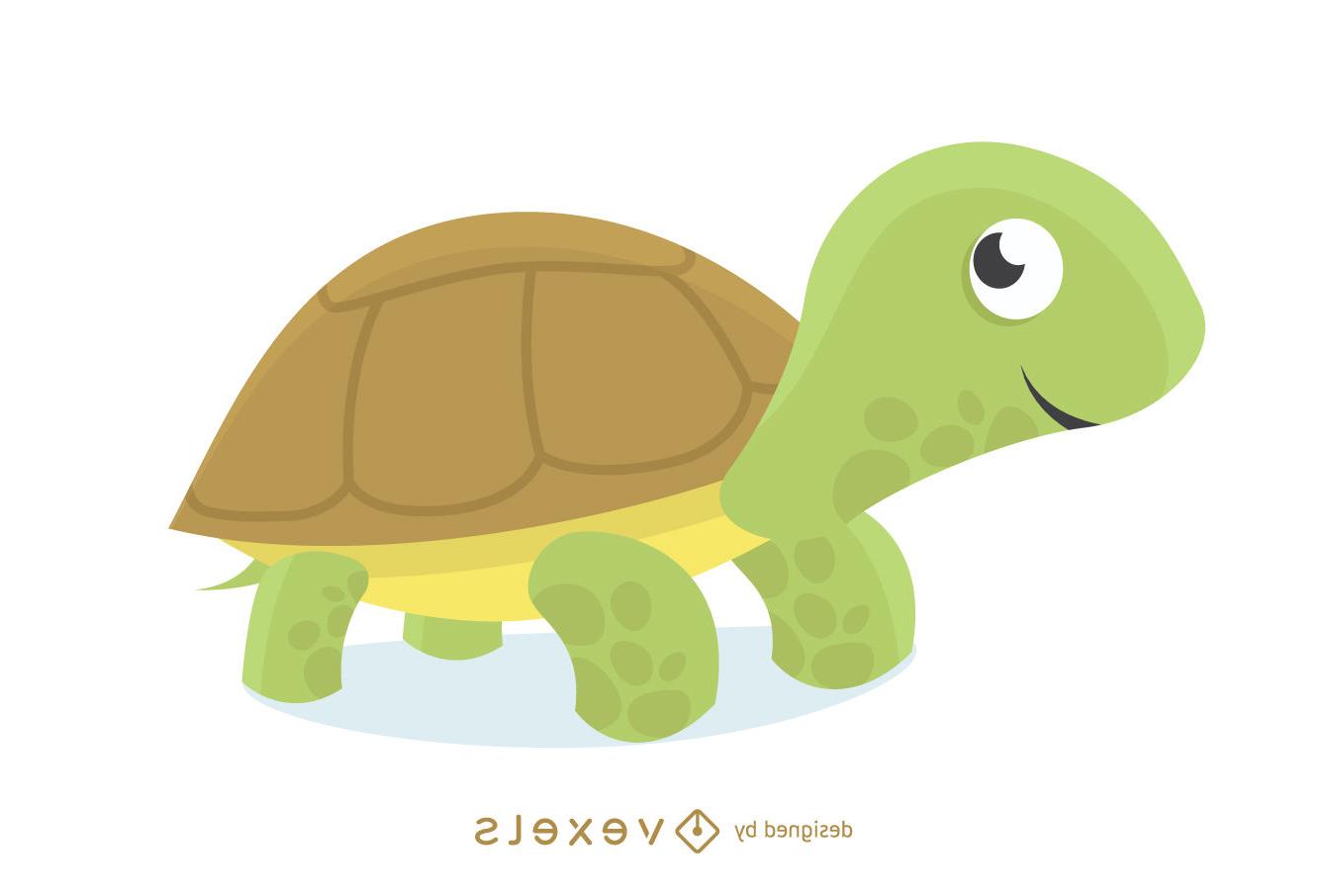 1342x906 Top Turtle Illustration Vector Drawing Free Vector Art, Images