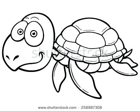 450x358 Cartoon Turtle Coloring Cartoon New Sea Turtle Cartoon Drawing