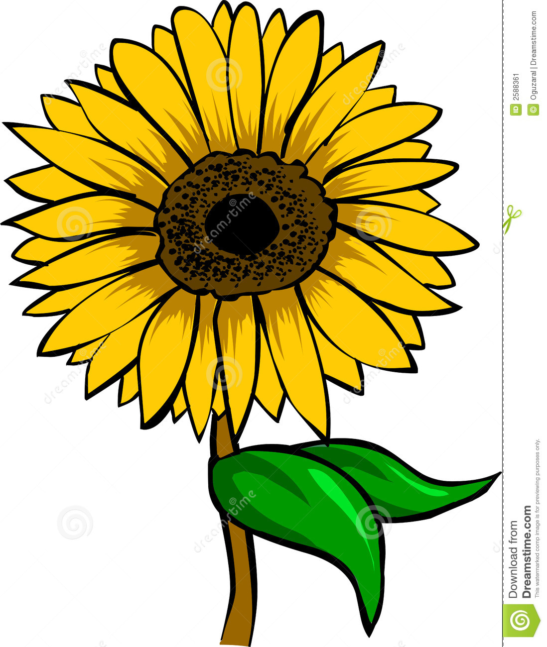 1098x1300 Sunflower Cartoon Drawing Sunflower Cartoon Drawing