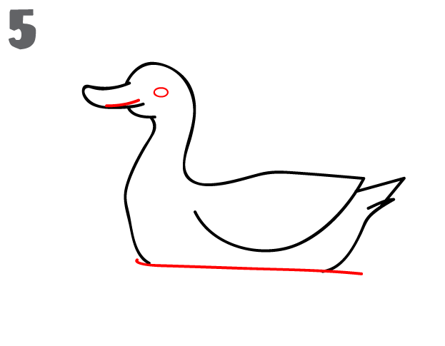 623x485 How To Draw A Duck