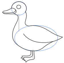 225x223 Cartoon Ducks Step