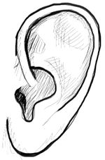 Cartoon Ear Drawing