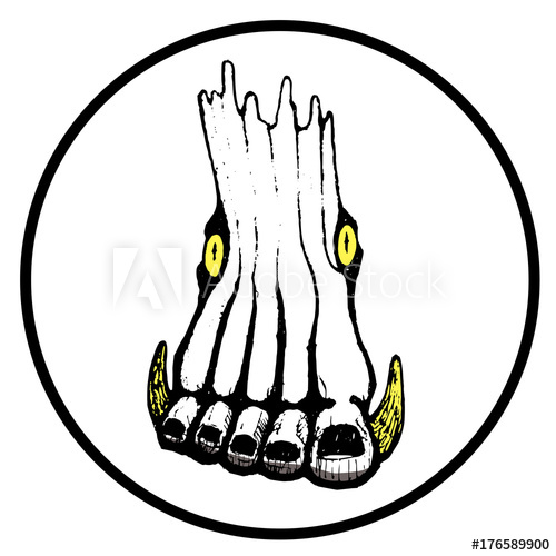 500x500 foot drawing illustration boar head mix to foot shape tattoo