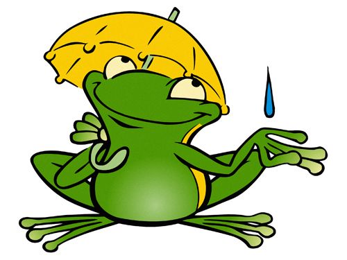 500x375 Cartoon Frog Chosen A North Carolina Tree Frog As The Company