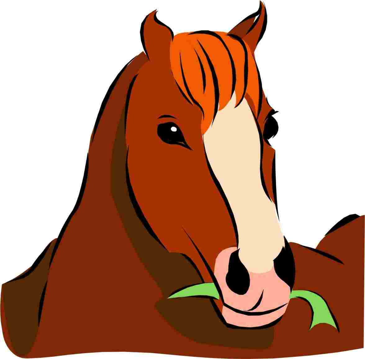 1176x1159 How Horse Head Drawing Cartoon To Draw A Easy