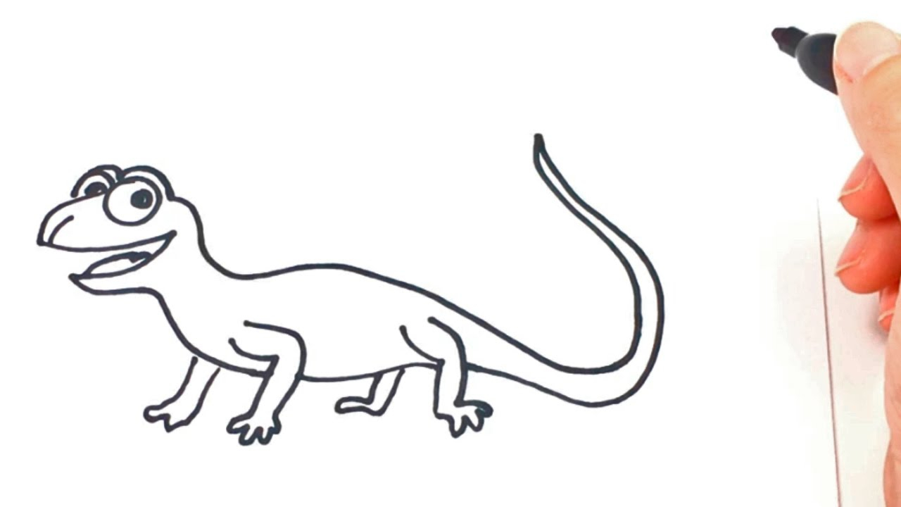 Cartoon Lizard Drawing