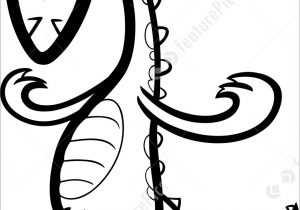 300x210 Lizard Cartoon Drawing Iguana