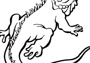 300x210 lizard cartoon drawing lizard