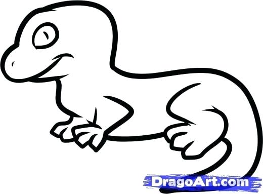 520x383 how to draw a simple lizard nip