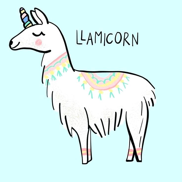 736x736 how to draw a lama draw llama llama draw something