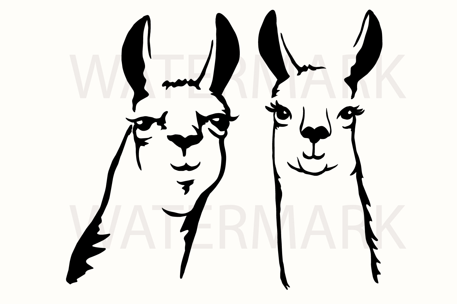 1500x1000 Llama Couple Smiling