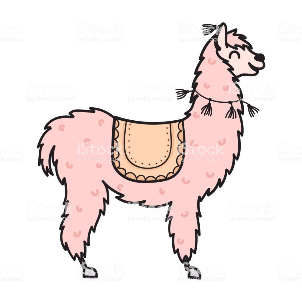 1024x1024 Alpaca Cartoon Drawing Tumblr Cool Coloured Gifts Corn Iydunetwork