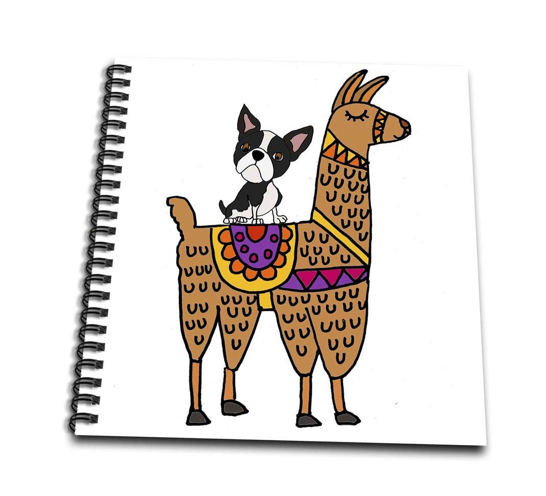 1070x973 Funny Cool Boston Terrier Dog Riding Llama