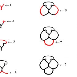 250x250 Drawing Cartoon Eyes Nose And Mouth Girl Easy Step