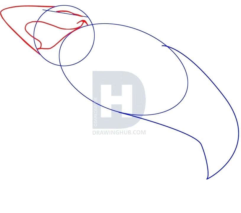 815x720 draw shark draw great white shark draw shark fish