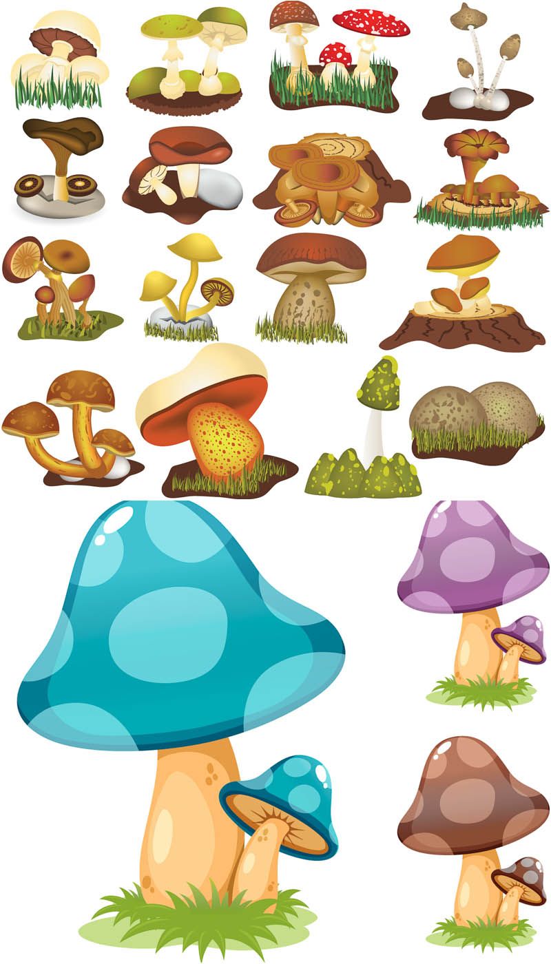 800x1400 Cartoon Mushroom Drawings Cartoon Mushrooms Vector Walk