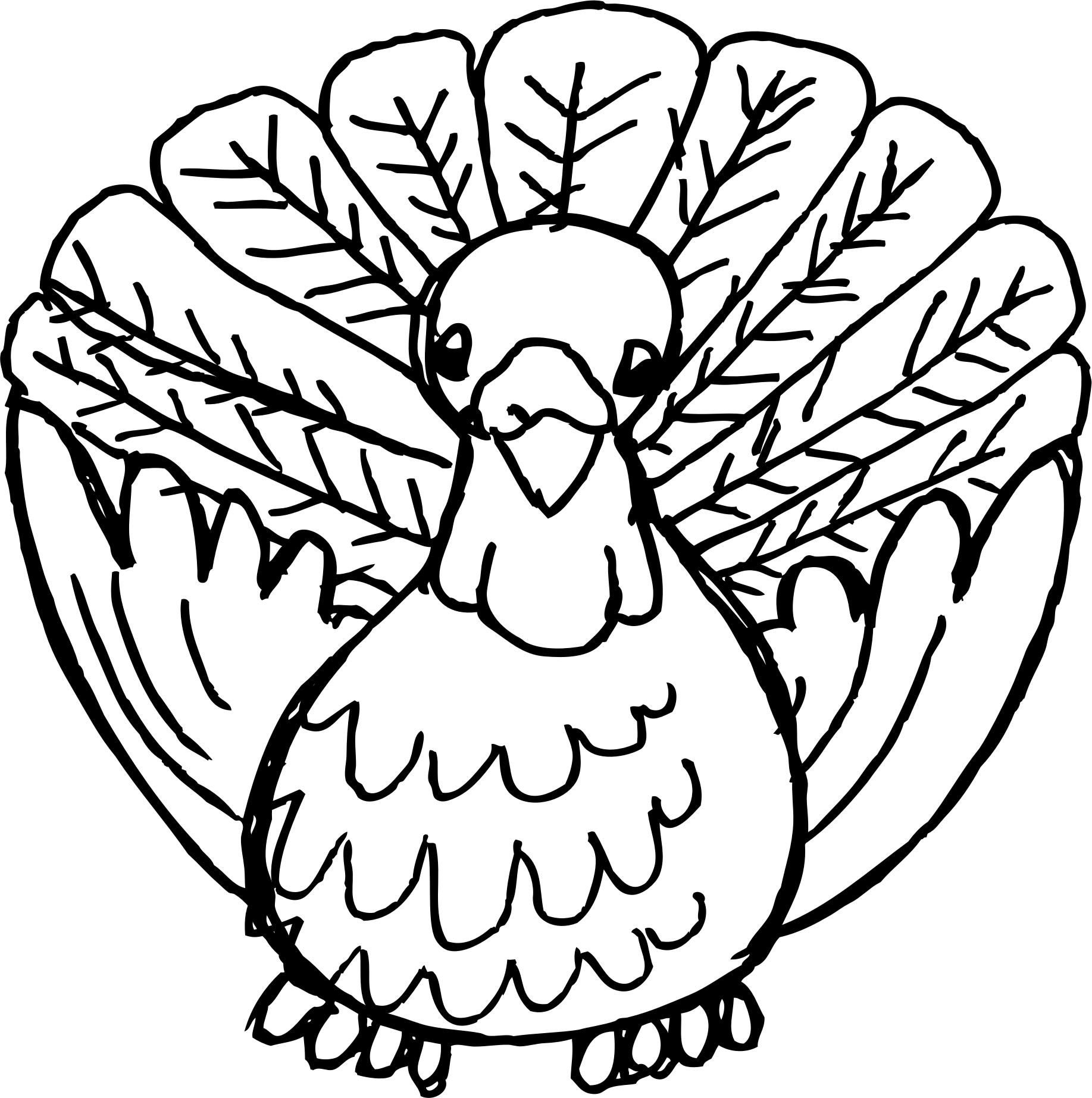 1835x1845 Cartoon Turkey Clipart Outline Icons Png