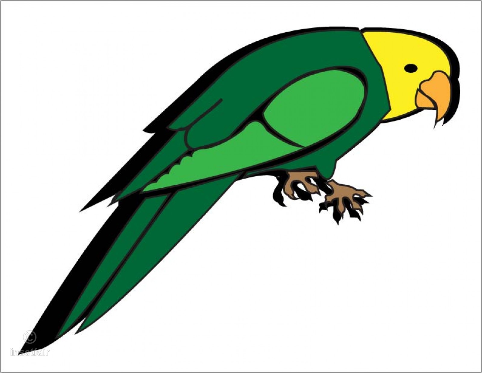 1600x1238 Cartoon Parrot Kids Vector Drawing
