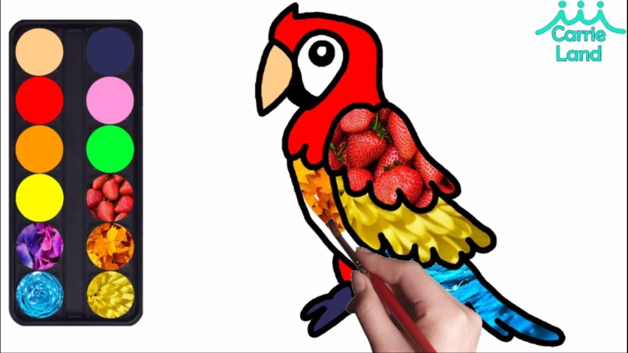 1280x720 Funny Parrot Drawing Coloring How To Draw Cartoon For Kids
