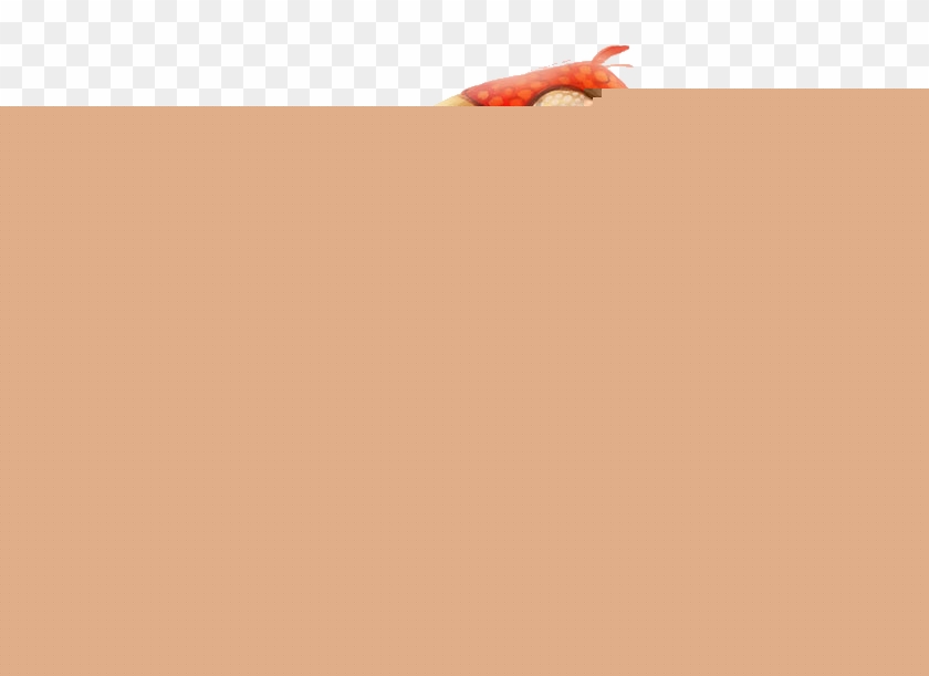 840x611 Parrot Drawing Painting