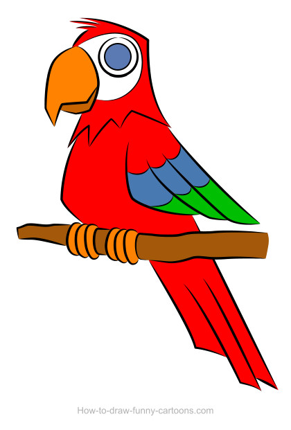 420x621 Parrot Drawing