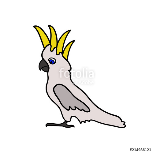 500x500 Cartoon Drawing Of A Cockatoo Stock Image And Royalty Free Vector