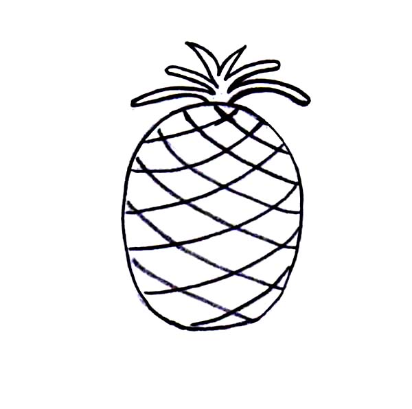 600x596 Cartoon Pineapple Drawing