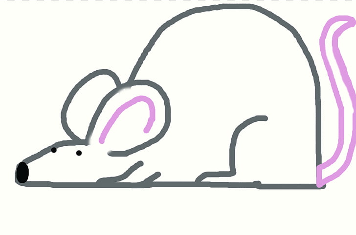 Cartoon Rat Drawing