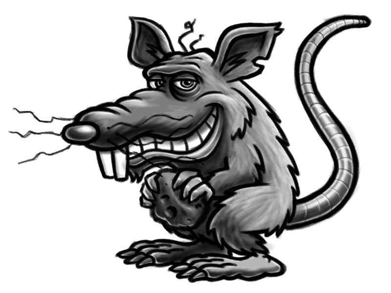 800x600 Rat Cartoon Character Sketch