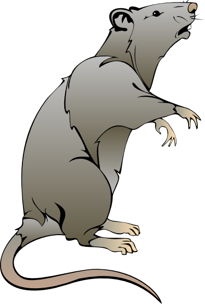 402x596 cartoon rat drawings rat clip art animal drawings