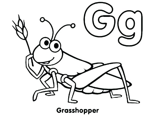 600x470 draw a grasshopper learn how to draw a grasshopper insects step