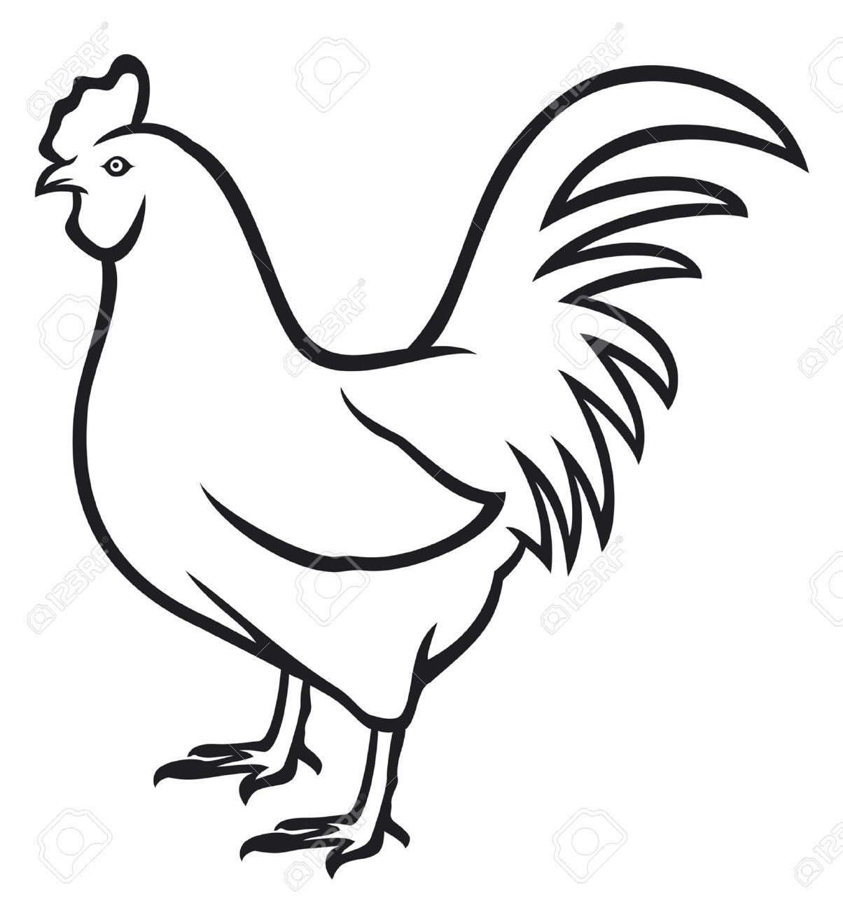 Cartoon Rooster Drawing
