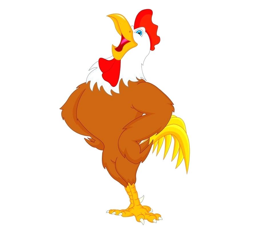 Cartoon Rooster Drawing | Free Download On ClipArtMag