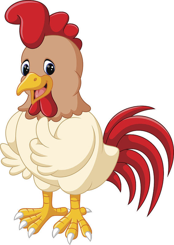 568x799 Cartoon Chicken Rooster Art Print