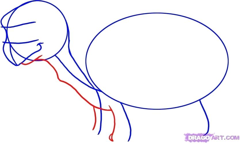 838x504 how to draw a cute turtle cute turtle drawing cute drawing