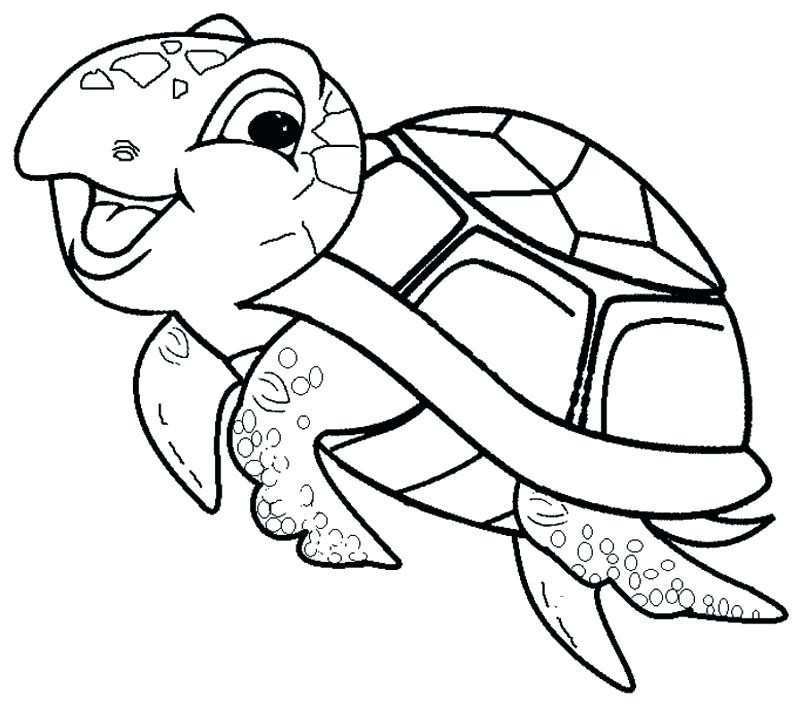 800x712 Sea Turtle Coloring