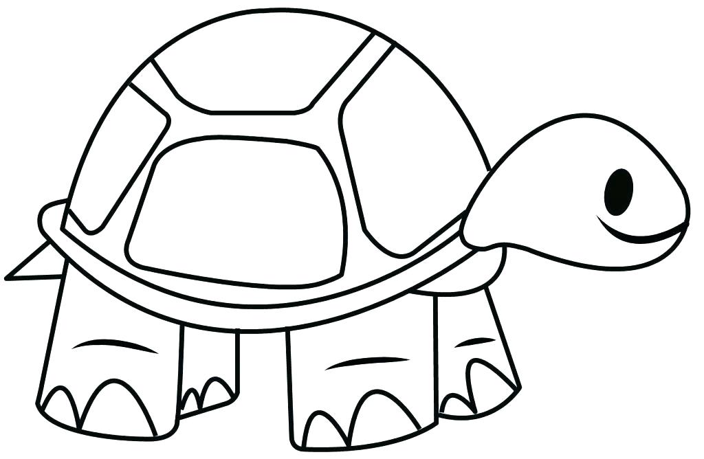 1024x668 Simple Sea Turtle Drawing Cartoon Turtle Outline Fun And Simple
