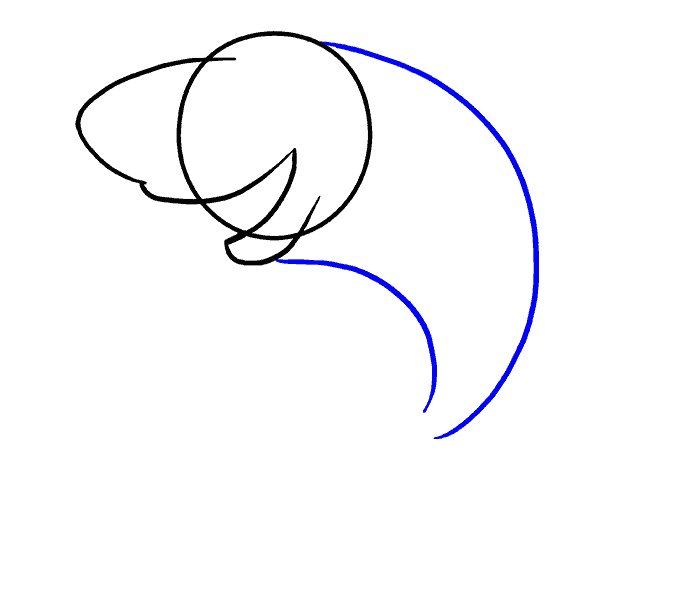 678x600 How To Draw A Cartoon Shark Easy Step