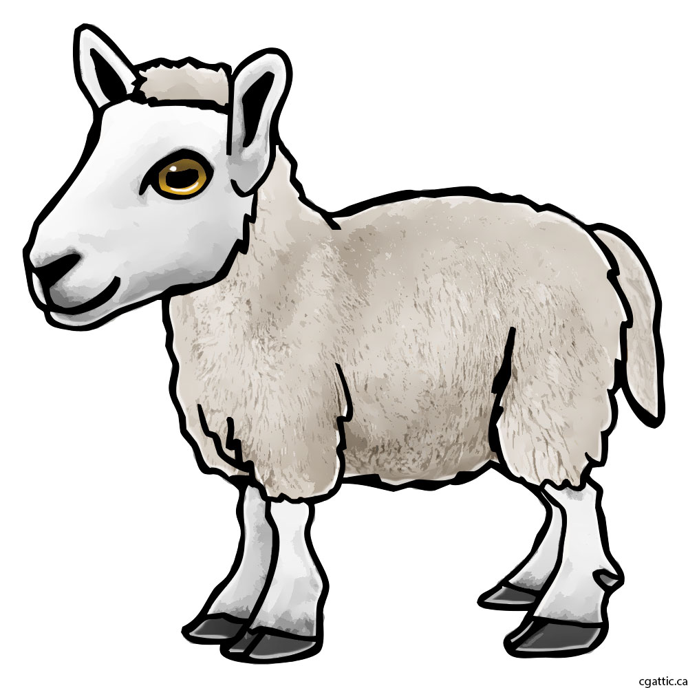 1000x1000 Sheep Cartoon Drawing In Steps With Photoshop
