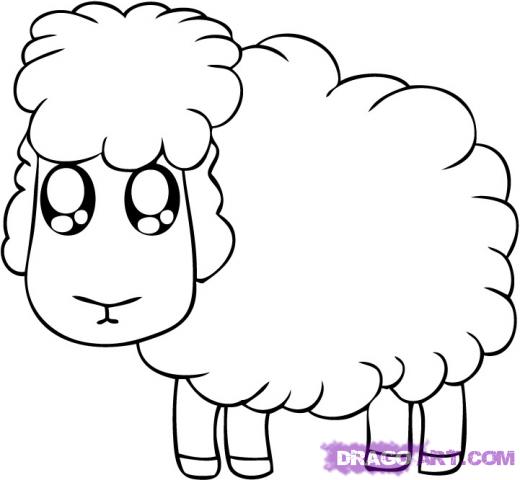 520x480 Step How To Draw A Cartoon Sheep