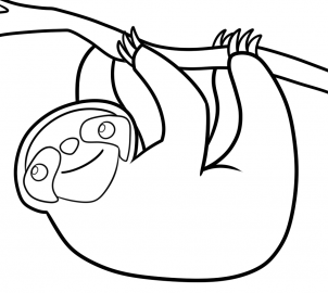 302x270 Drawing Printout How To Draw A Cartoon Sloth