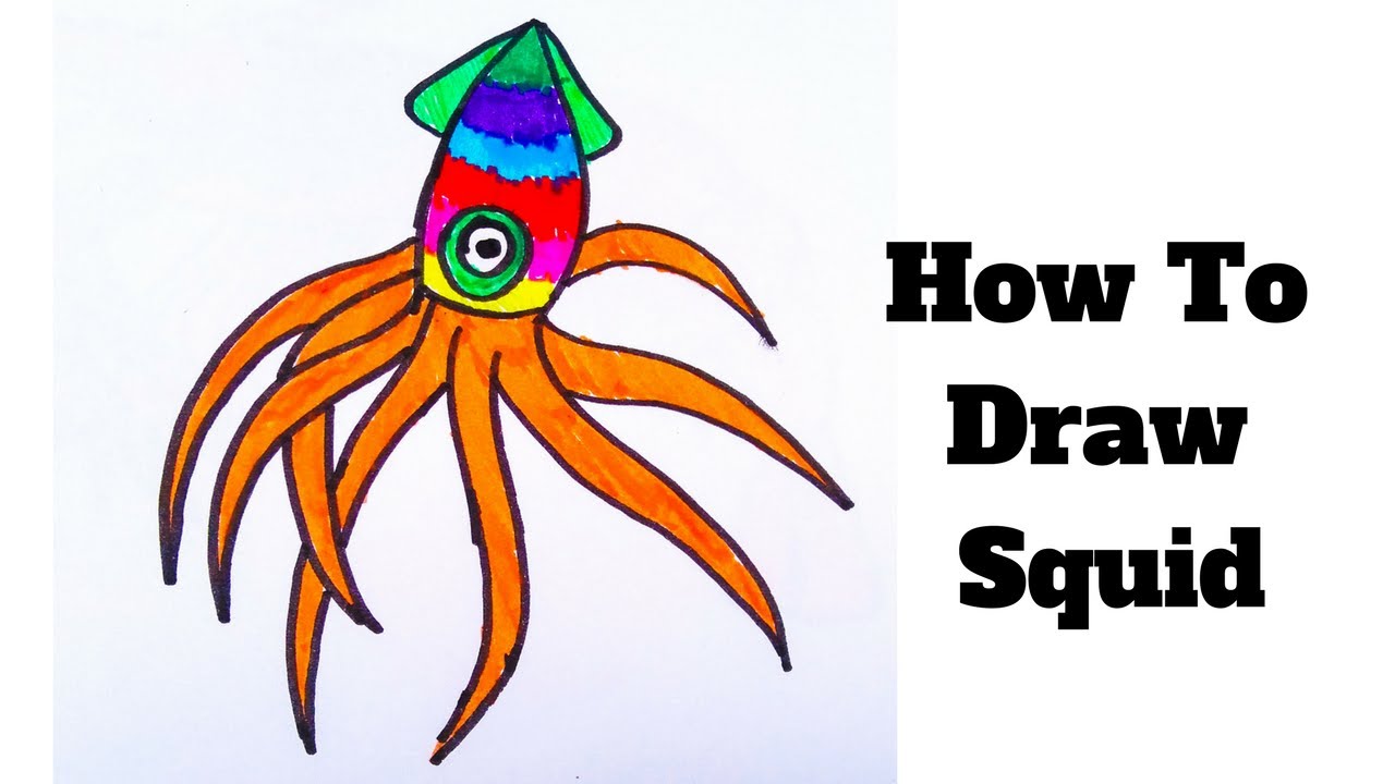 1280x720 How To Draw A Squid In Easy Steps For Children, Kids, Beginners