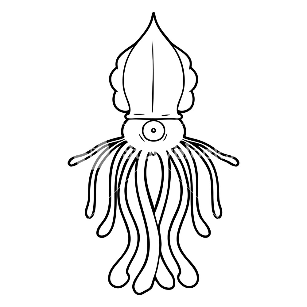 1000x1000 Cartoon Squid Royalty Free Stock Image