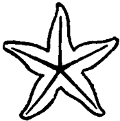 175x176 How To Draw Cartoon Star Fish In Easy Step