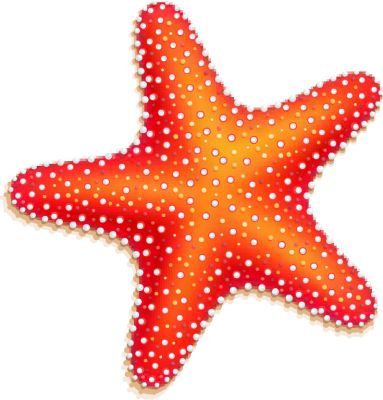 383x400 Cute Starfish Tattoo Designs