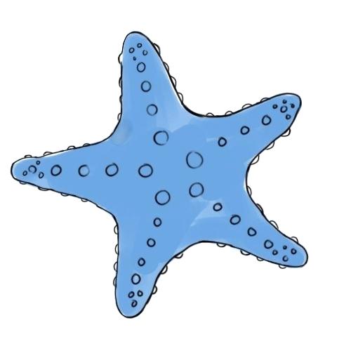 500x500 Star Fish Drawing Running