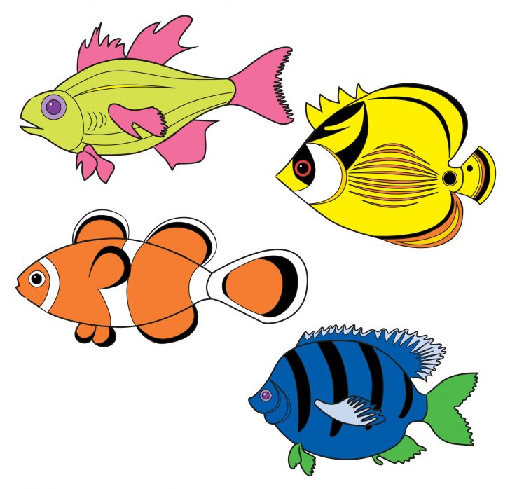 728x698 Cute Fish Drawing Step