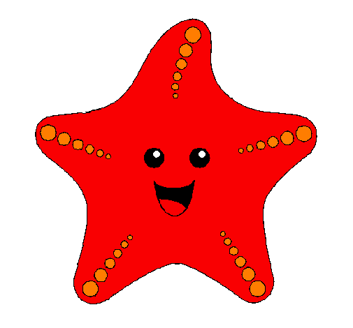505x470 Drawing, Starfish, Illustration, Transparent Png Image Clipart