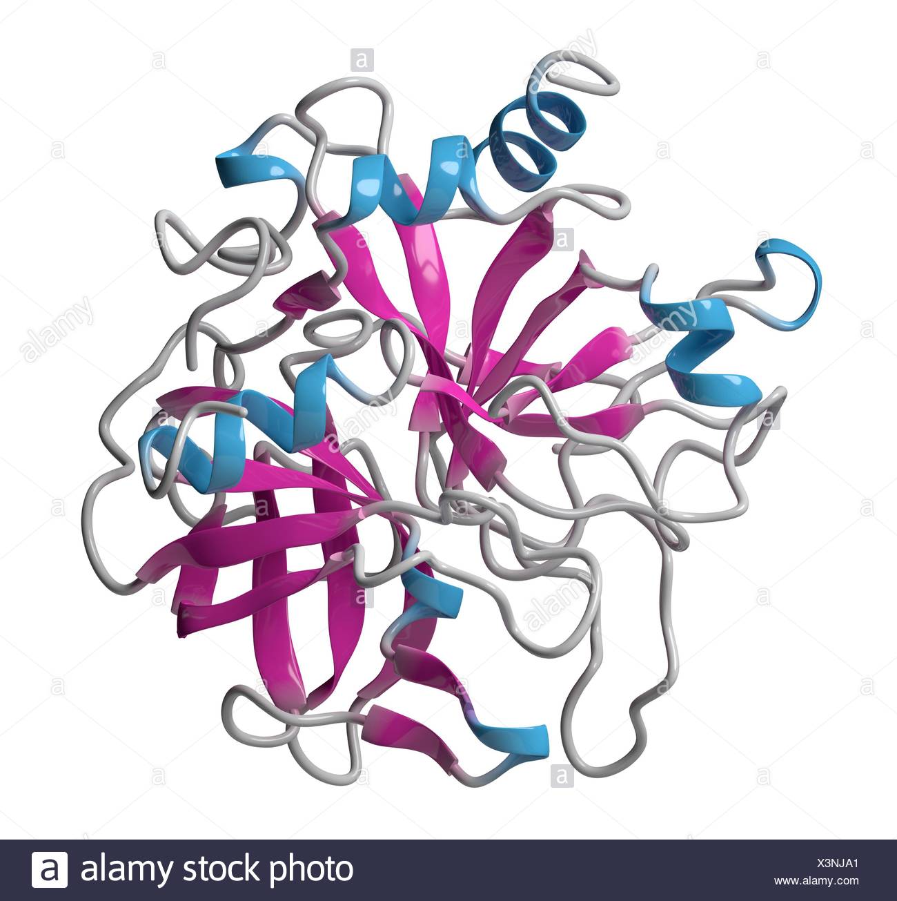 1300x1305 Collection Of Free Coag Clipart Hereditary Deficiency Download